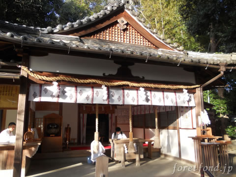 �ױ�ɧ����