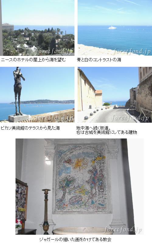 �����ȥ����塼��