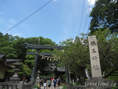 ��̾����