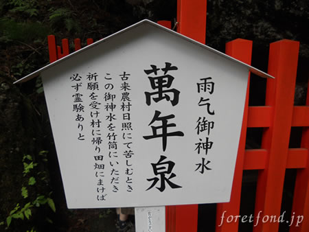 ��̾����