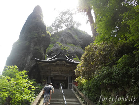 ��̾����