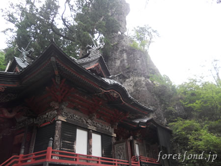 ��̾����