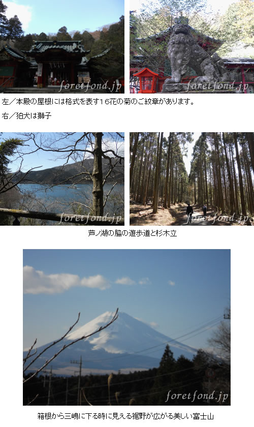 Ȣ�����ҡ���Ƭζ���ҡ���ζ����