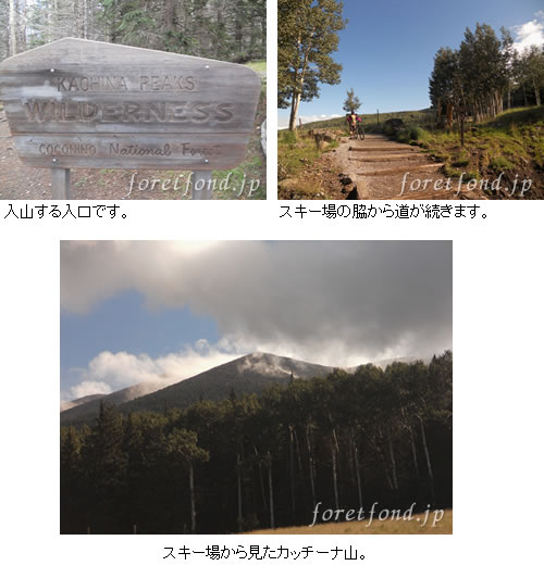 ���å����ʡ��ԡ�������Katsina  peaks��