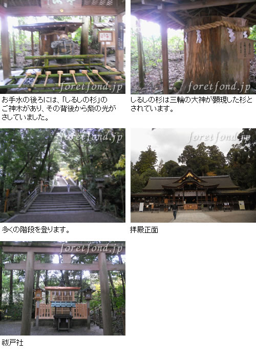 ����������������ҡʤ����ߤ���ҡ�