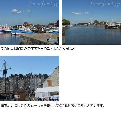 �Υ�ޥ�ǥ������������ȥ륿������ե롼��