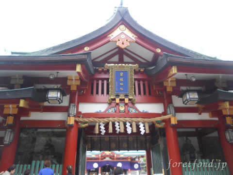 ���޿���