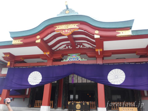 ���޿���