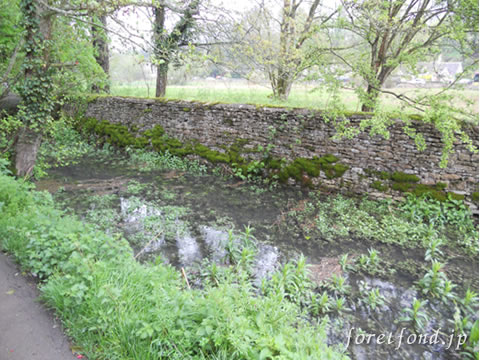 ���åĥ����륺�����ʥ��󥰥��ɡ˥Х��֥꡼¼