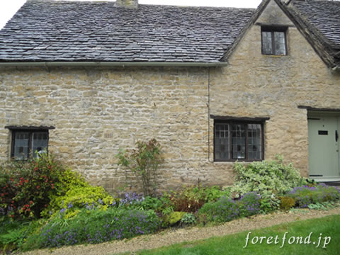 ���åĥ����륺�����ʥ��󥰥��ɡ˥Х��֥꡼¼