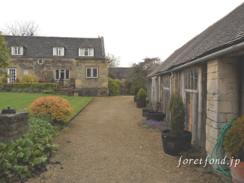 ���åĥ����륺�����ʥ��󥰥��ɡ˥Х��֥꡼¼