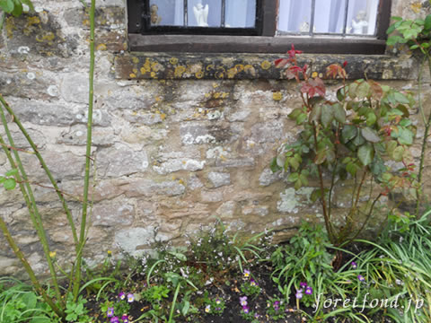 ���åĥ����륺�����ʥ��󥰥��ɡ˥Х��֥꡼¼