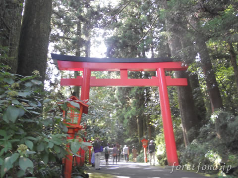 Ȣ������