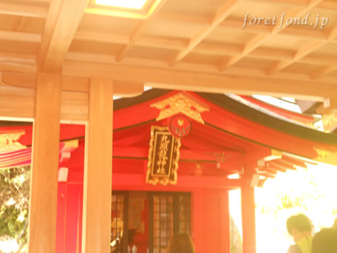 Ȣ������