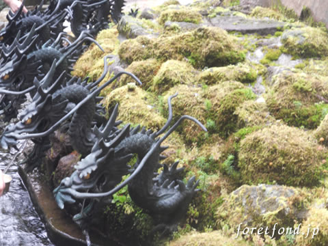 Ȣ������