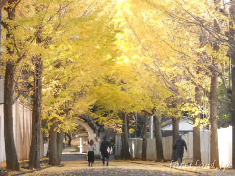 �������ҳر���