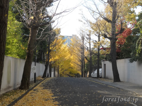 ����潻��