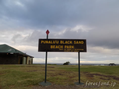 �ϥ磻��γ�����