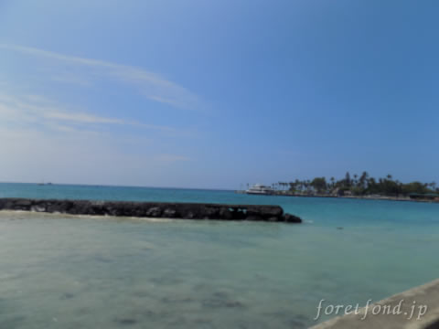 �ϥ磻��γ�����