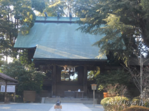 ������ܿ���