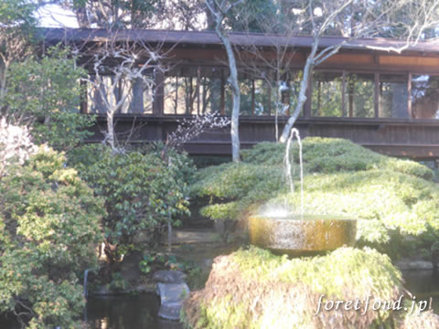 ������ܿ���