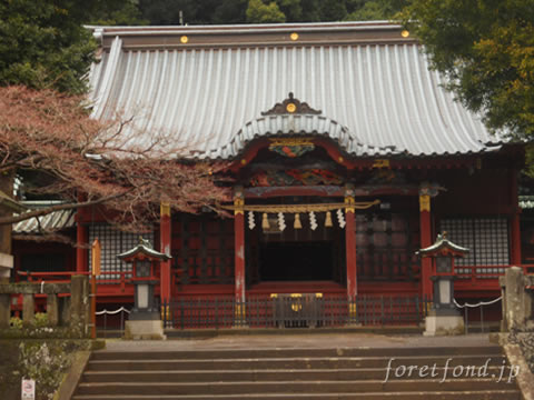 ��Ʀ������