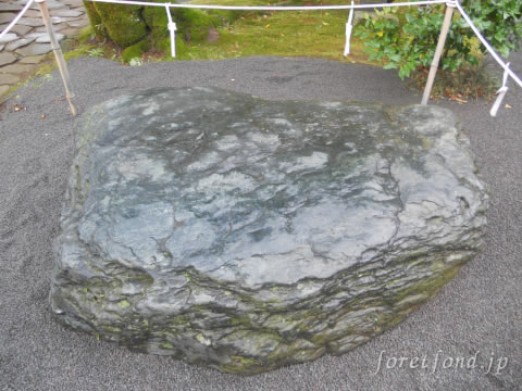 ��Ʀ������