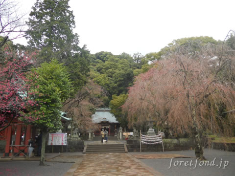 ��Ʀ������