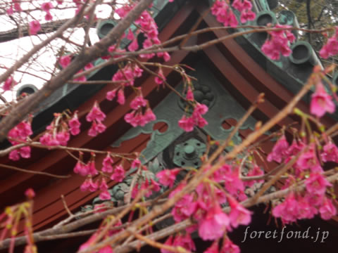 ��Ʀ������