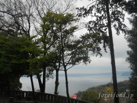 ��Ʀ������