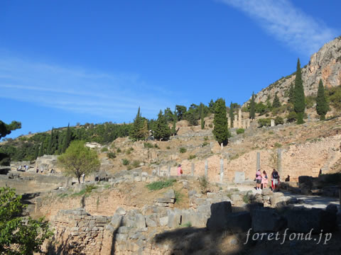 ���ϥǥ�ե��ʥ��ꥷ���