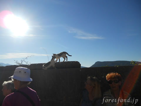 ���ϥǥ�ե��ʥ��ꥷ���