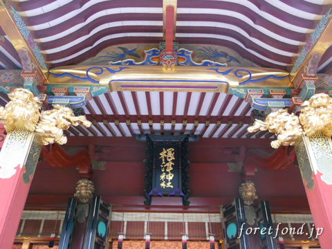 ���ſ���