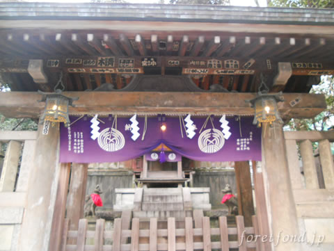 ���ſ���