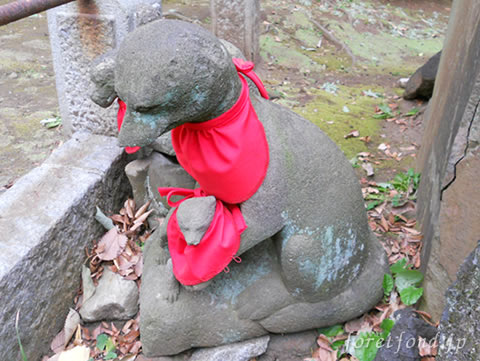 ���ſ���