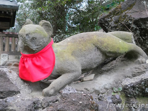 ���ſ���