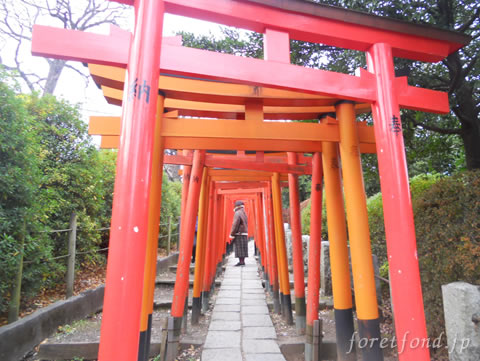 ���ſ���