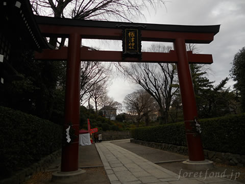 ���ſ���