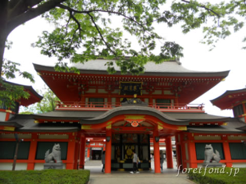 ���տ���