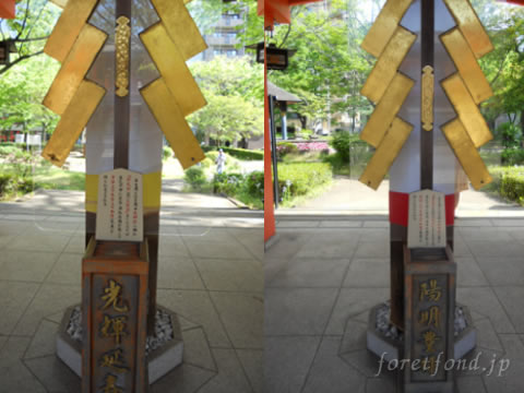 ���տ���