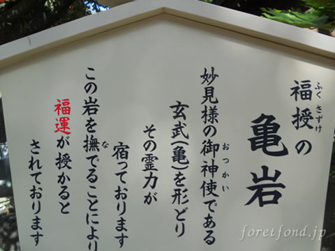 ���տ���