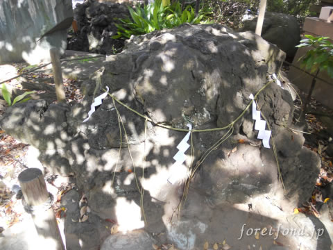 ���տ���