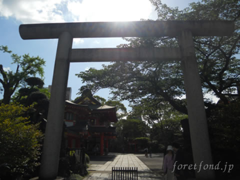 ���տ���