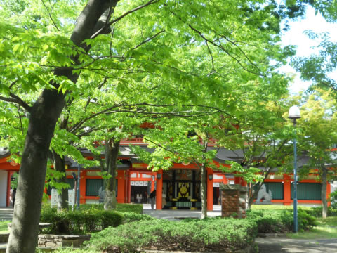 ���տ���