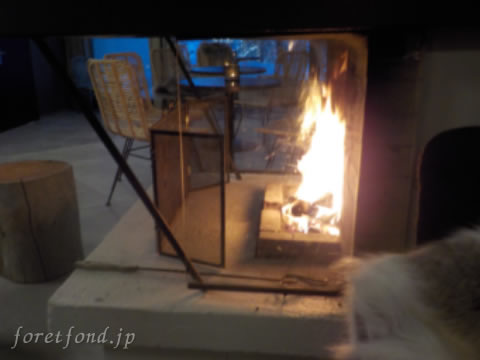 ���Х˥���