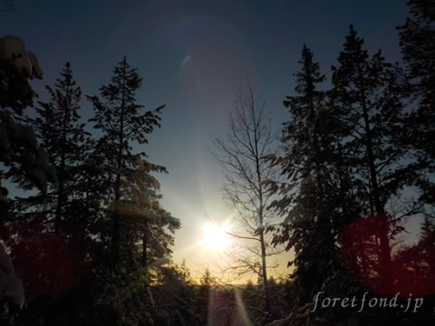 ���Х˥���