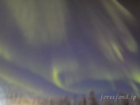 ���Х˥���