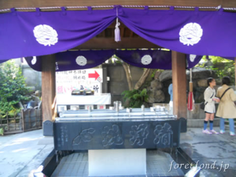 ������ưº