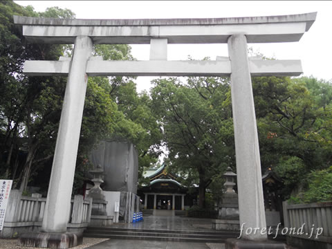 ���ҿ���