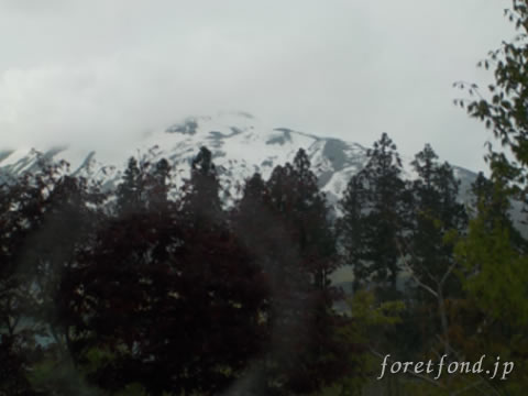 ���ڻ�����